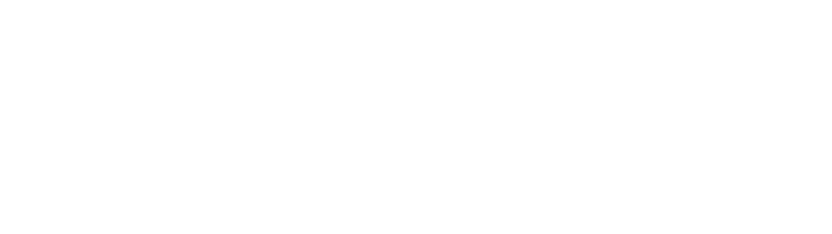 Nessus Professional